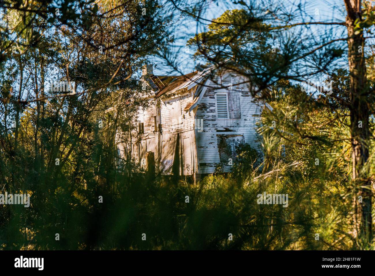 vecchia casa nascosta nella foresta Foto Stock