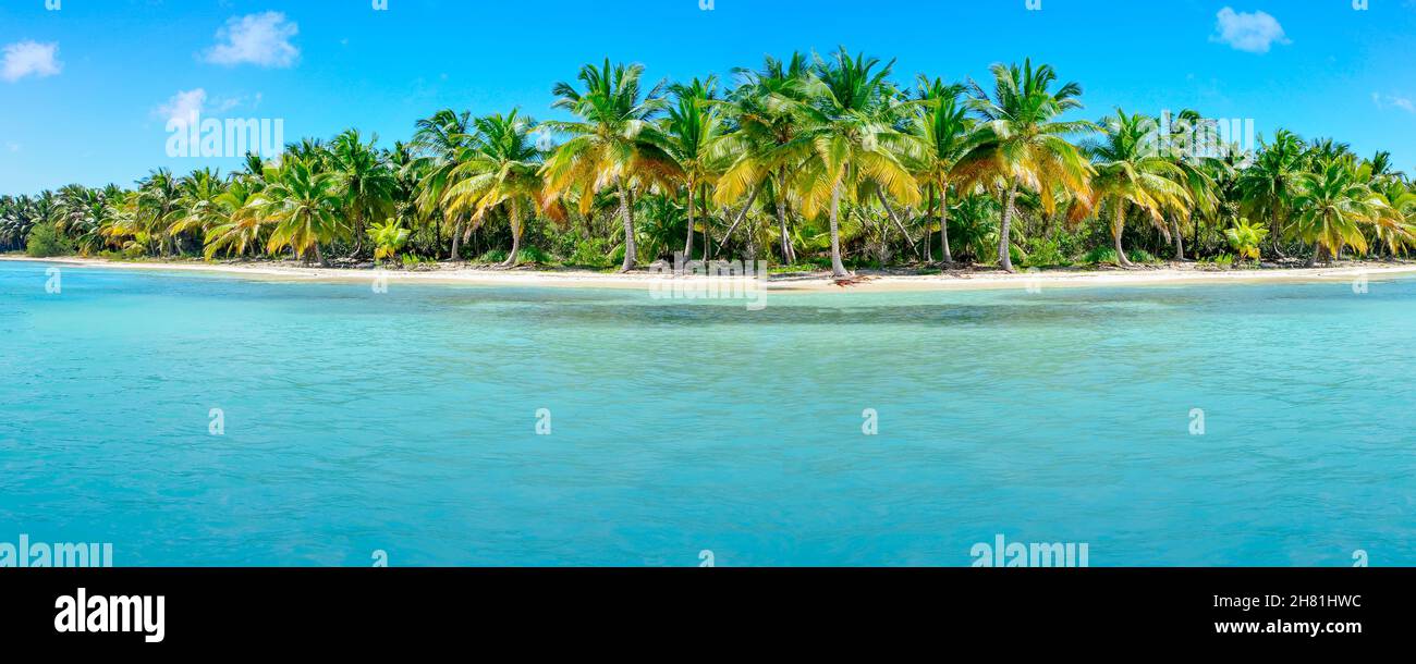 Costa tropicale, con palme e sabbia bellissima. Foto Stock