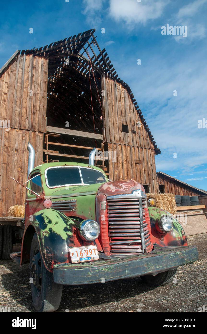 Antico camion pieno di fieno e zucche nel centro dell'Oregon Foto Stock
