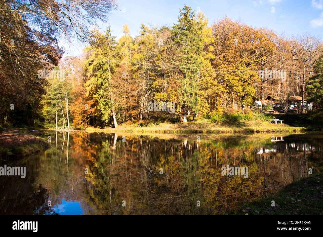 Wald in bunten wamen Farben alles ist ruhig und still Foto Stock