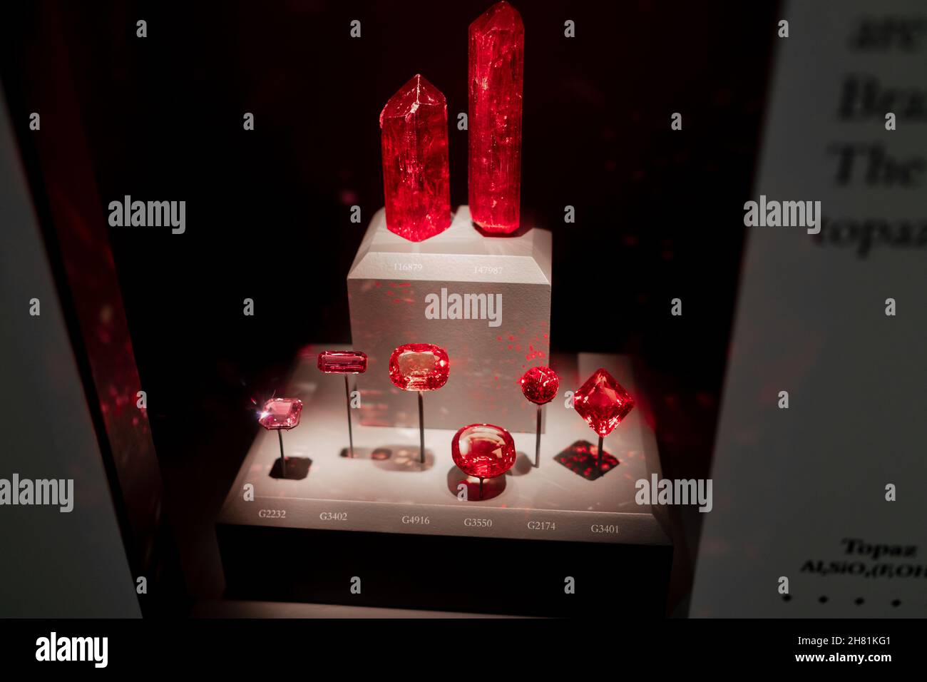 Red Ruby Gem Jewelry nel Museo Smithsonian Foto Stock