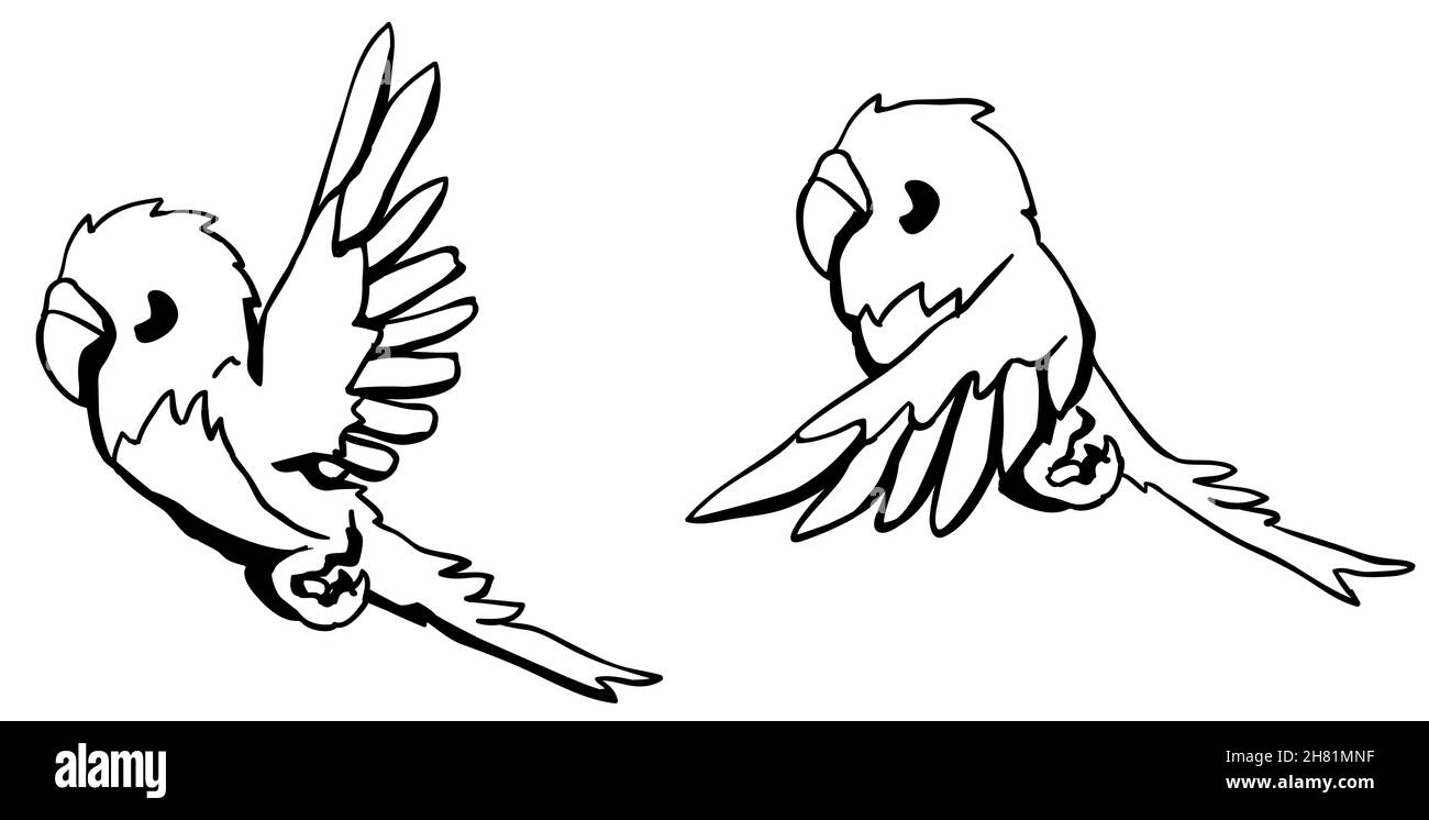 Budgerigar flying cartoon line drawing, vettoriale, orizzontale, bianco e nero, isolato Illustrazione Vettoriale