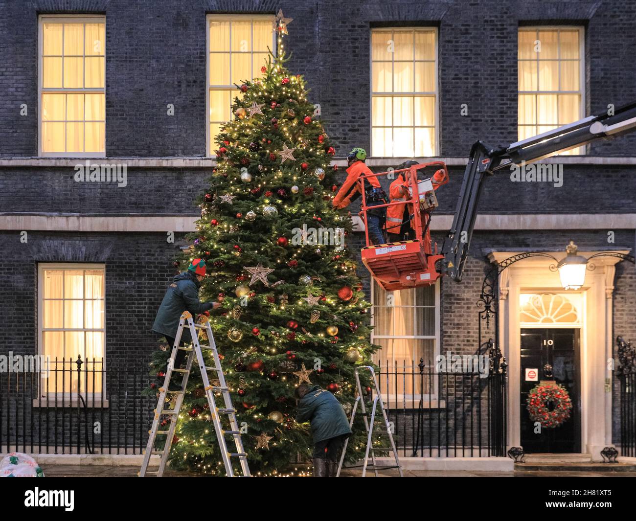 Westminster, Londra, Regno Unito. 26 novembre 2021. Il Downing Street Christmas Tree 2021 è in fase di decorazione e si trova illuminato fuori No 10 questa sera. Quest'anno, l'albero è stato fornito da Marldon Christmas Tree Farm in Devon, che ha vinto il campione annuale Christmas Tree Grower dell'anno e accolade per fornire l'albero. Le decorazioni sono fornite e messe in su dal granaio dell'albero ancora quest'anno. Credit: Imagplotter/Alamy Live News Foto Stock
