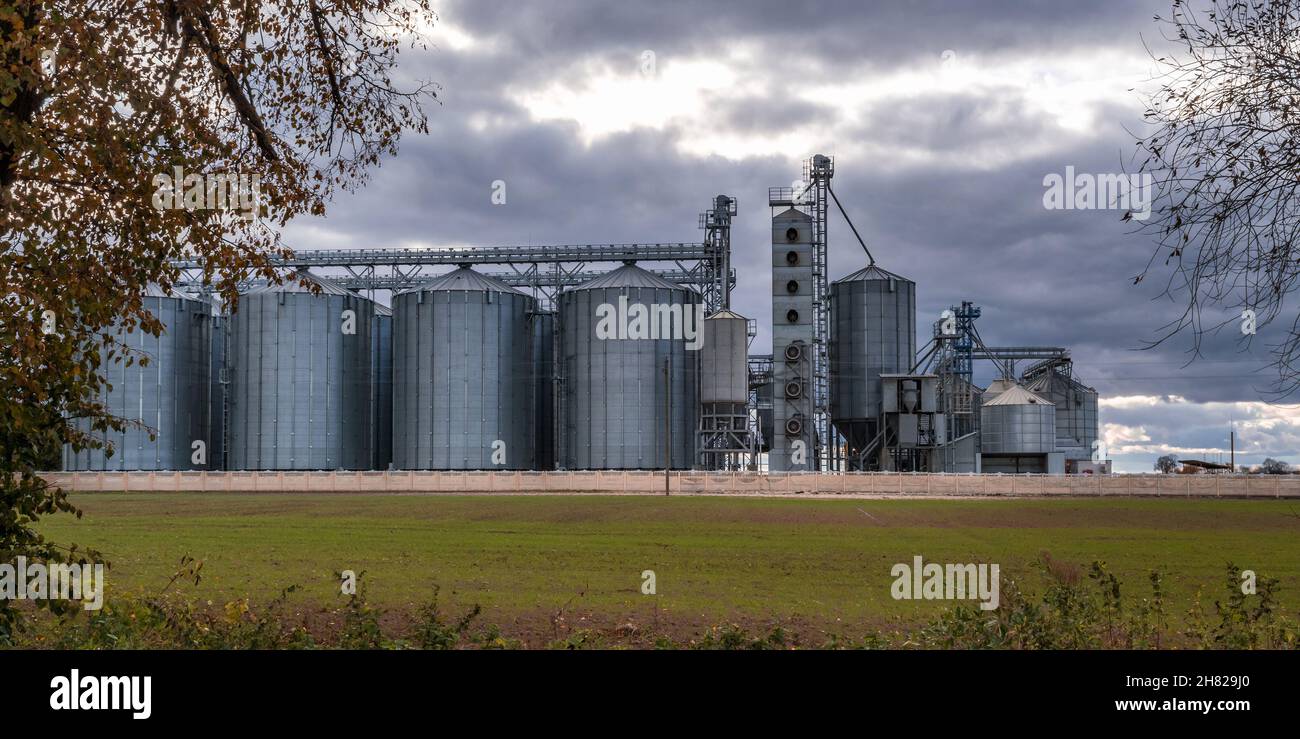 silos e moderno elevatore di granai e linea di pulitura di semi su impianti di agrolavorazione e produzione per stoccaggio e lavorazione pulitura di agri Foto Stock