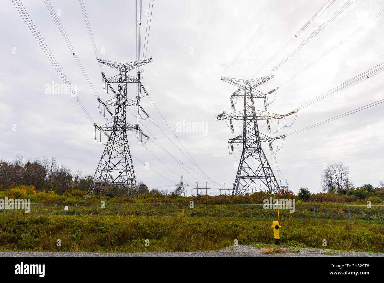 Piloni elettrici ad alta tensione in campagna in una giornata di autunno coperto Foto Stock