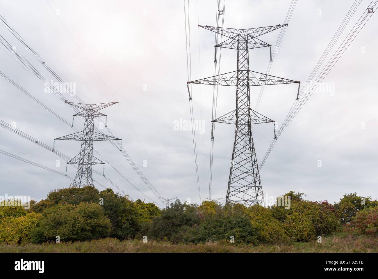 Torri di potenza che supportano linee ad alta tensione in un giorno d'autunno coperto Foto Stock