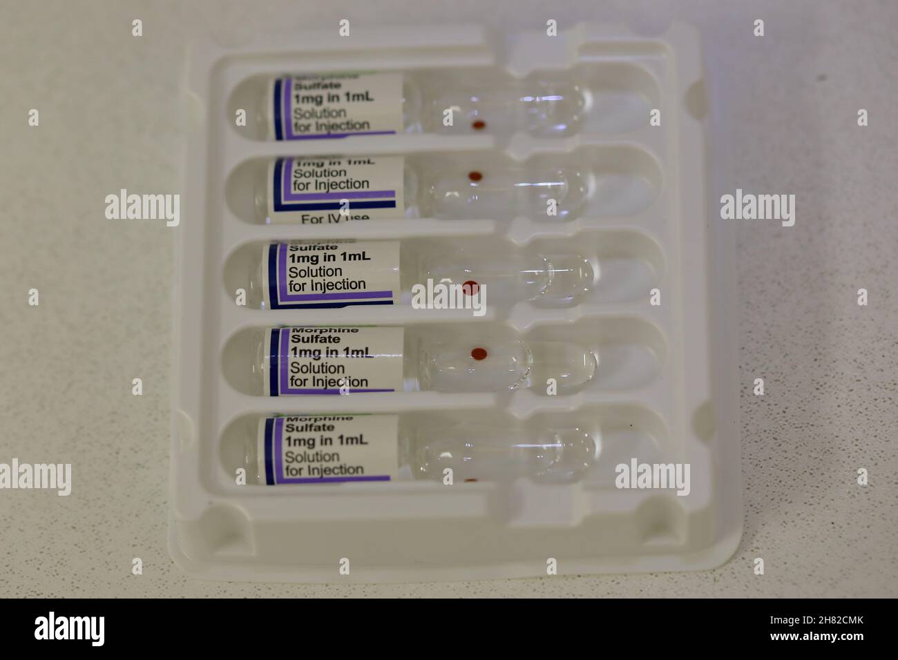 vassoio di imballaggio in plastica bianca contenente 5 fiale di vetro di soluzione di solfato di morfina, ciascuna contenente 1 mg in 1 ml Foto Stock