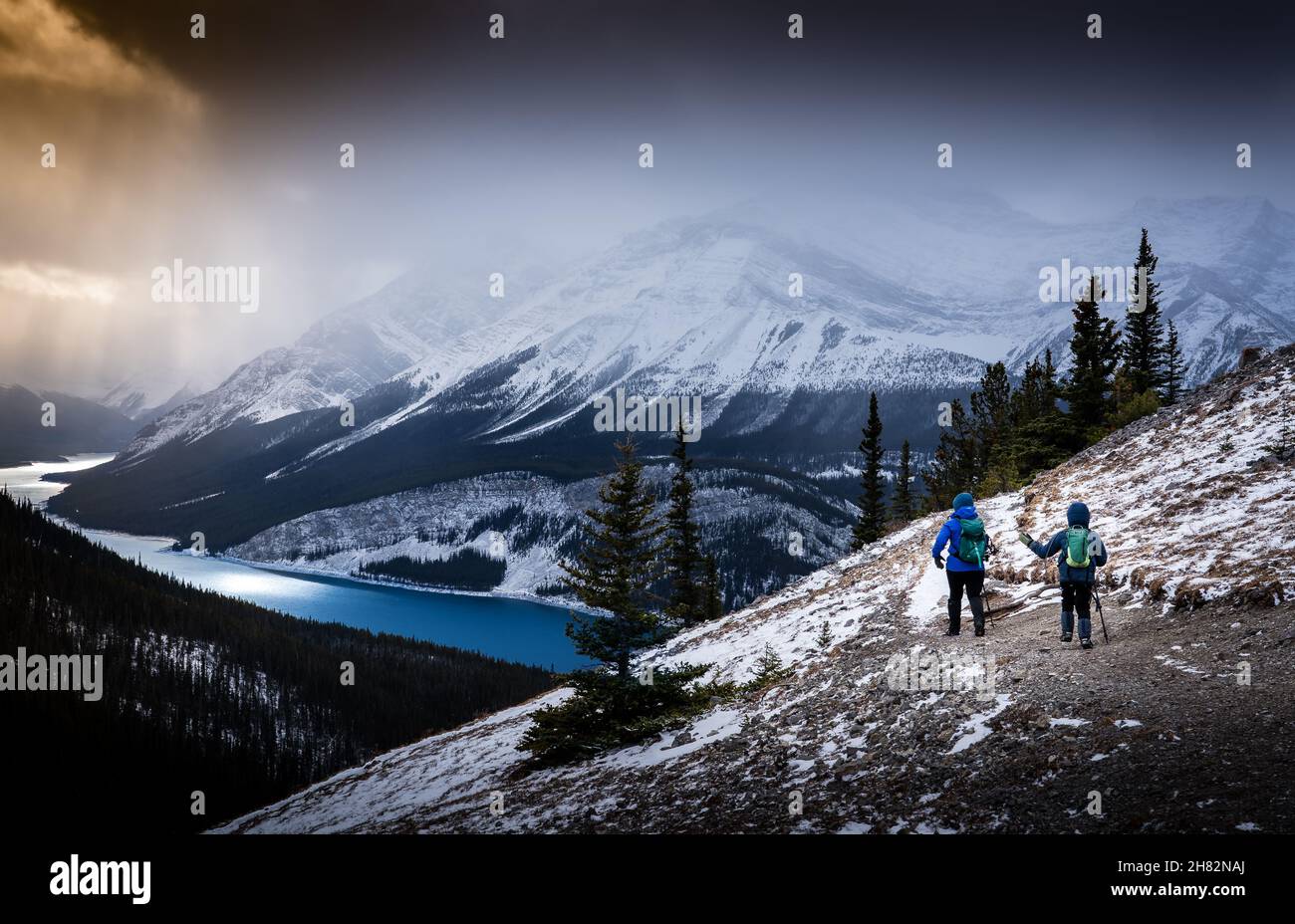 Due bambini camminano sul sentiero della montagna del vento Ovest del Parco Provinciale Peter Lougheed nelle Montagne Rocciose Canadesi. Foto Stock