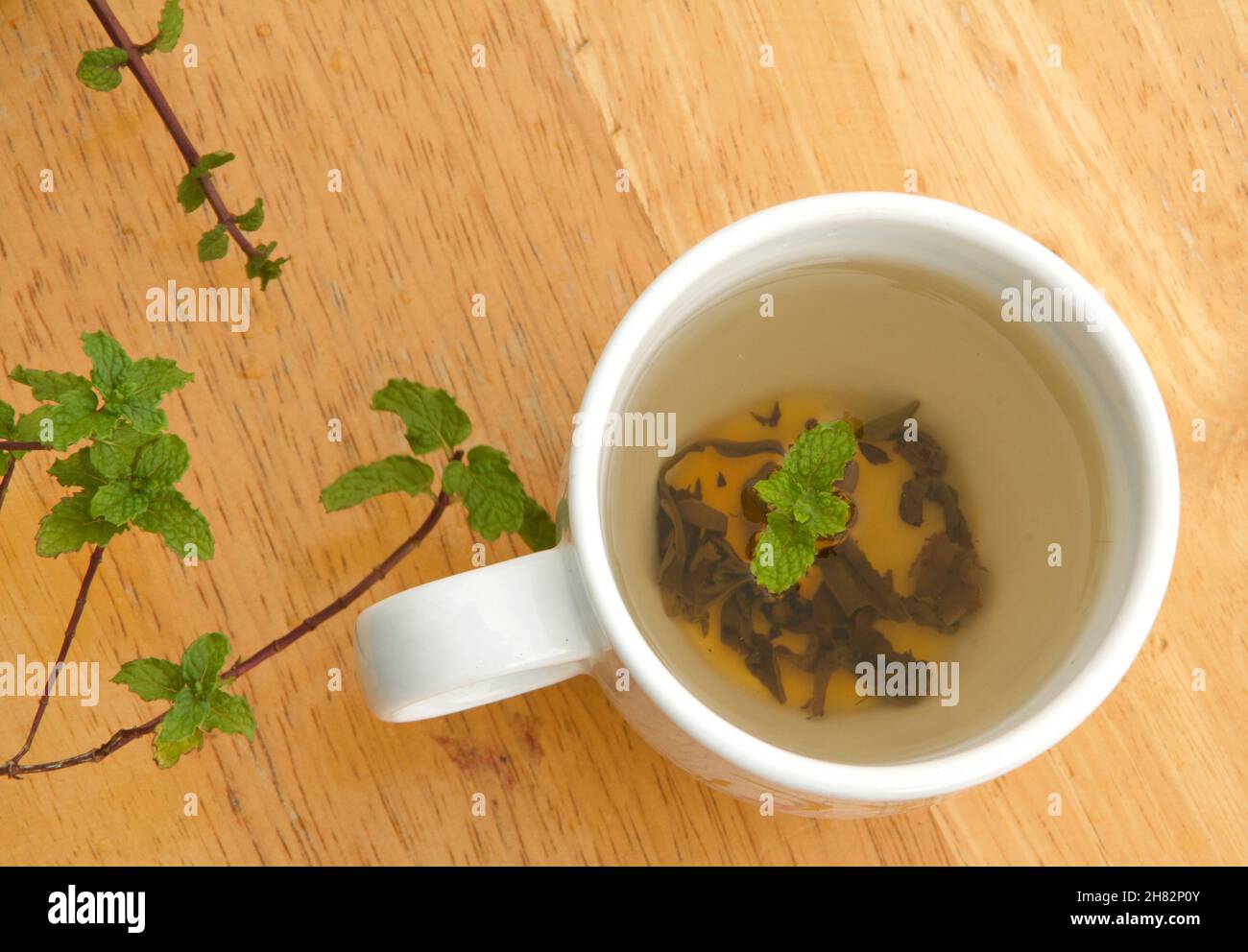 primo piano di vista del tè verde con foglie di menta in una tazza bianca e foglie di mente sul legno Foto Stock