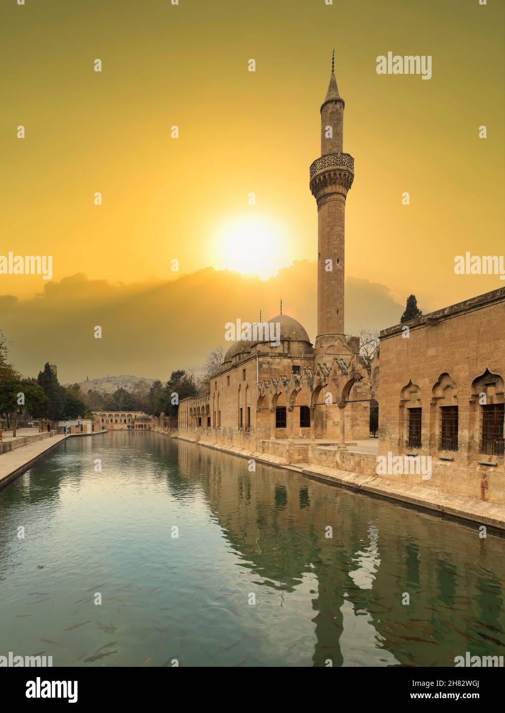 Lago di pesce ( turco; Balıklı Göl ). La sacra piscina del profeta Abramo. Famoso luogo turistico di Sanliurfa. Destinazioni di viaggio in Turchia Foto Stock Lago di pesce ( turco; Balıklı Göl ). La sacra piscina del profeta Abramo. Famoso luogo turistico di Sanliurfa. Destinazioni di viaggio in Turchia Foto Stock