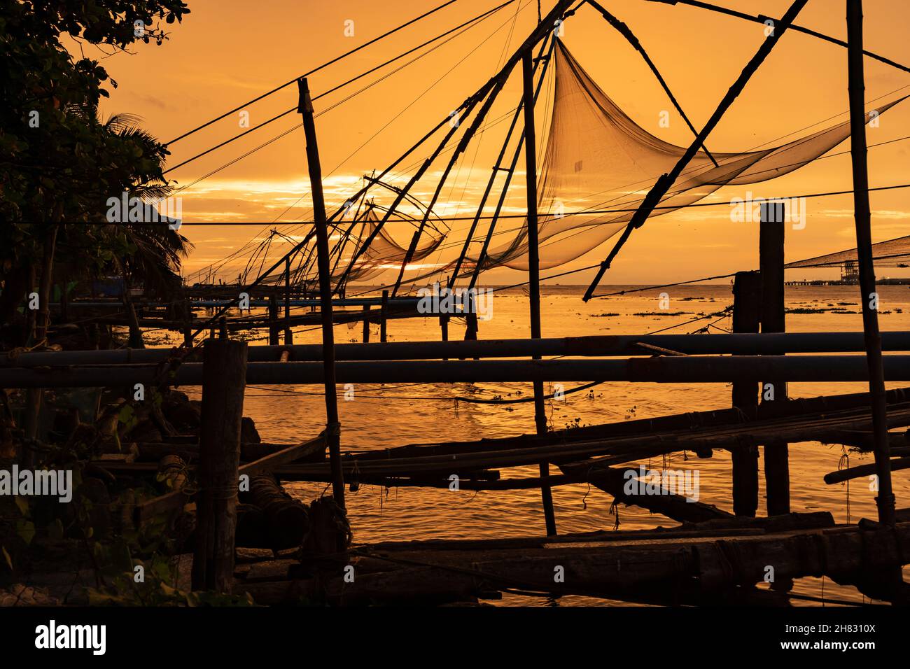 Pesca cinese di Cochin/Kochi al tramonto Foto Stock