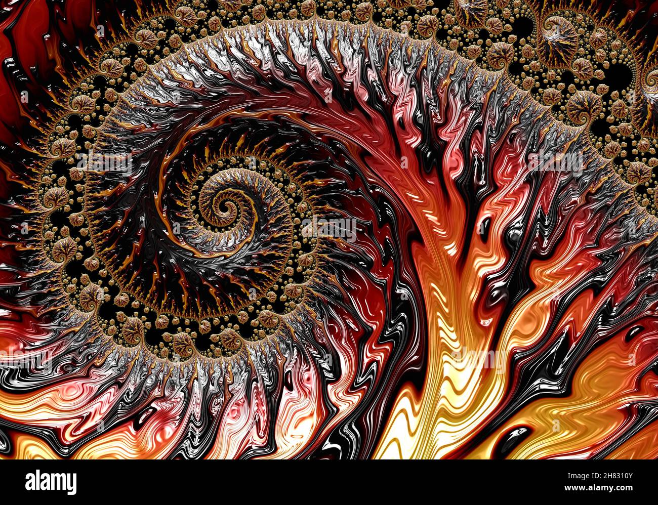 Sfondo shell astratto generato automaticamente usando il frattale Mandelbrot Foto Stock