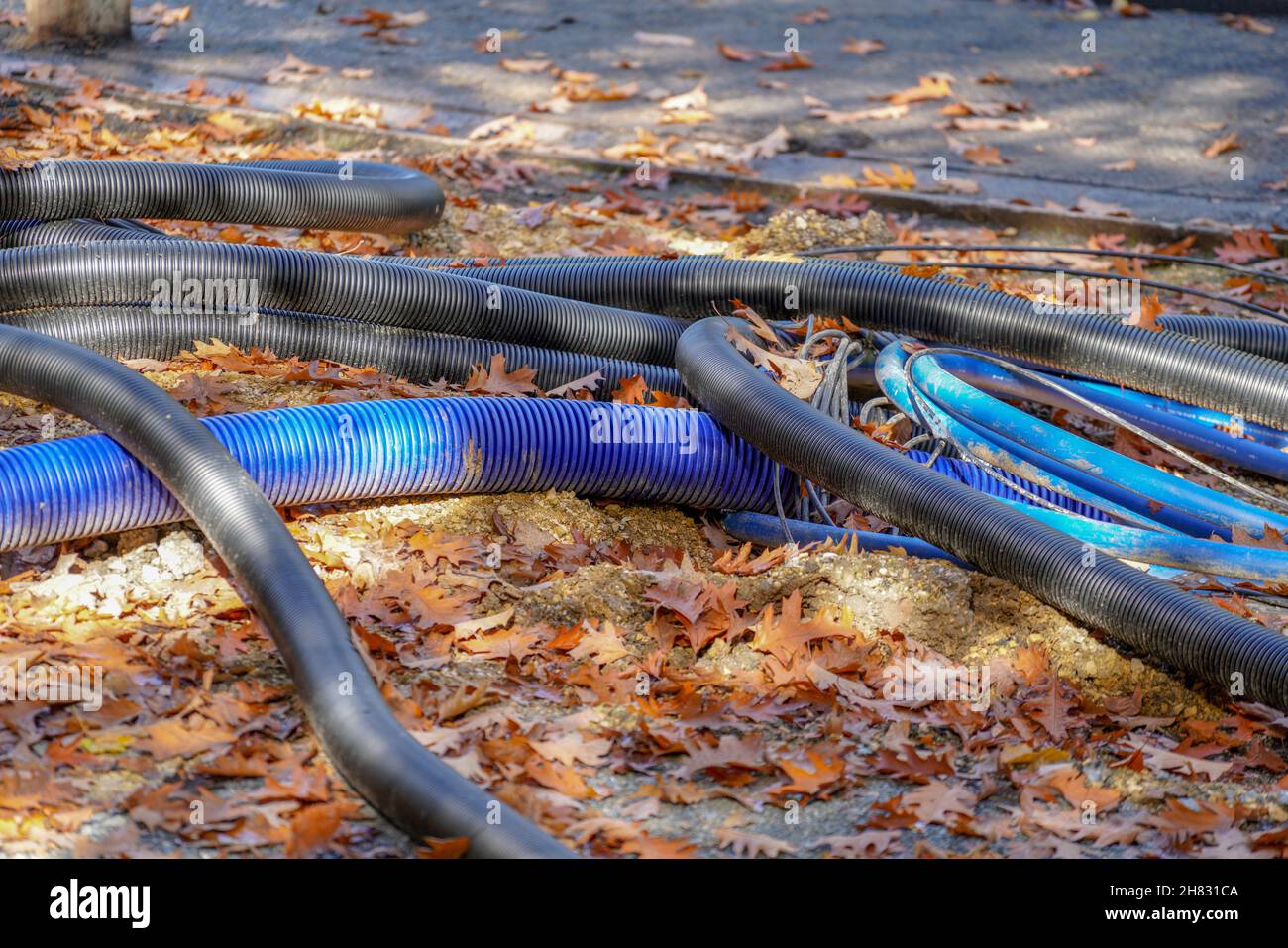 Tubi da giardino neri e blu a terra con foglie cadute d'autunno Foto Stock