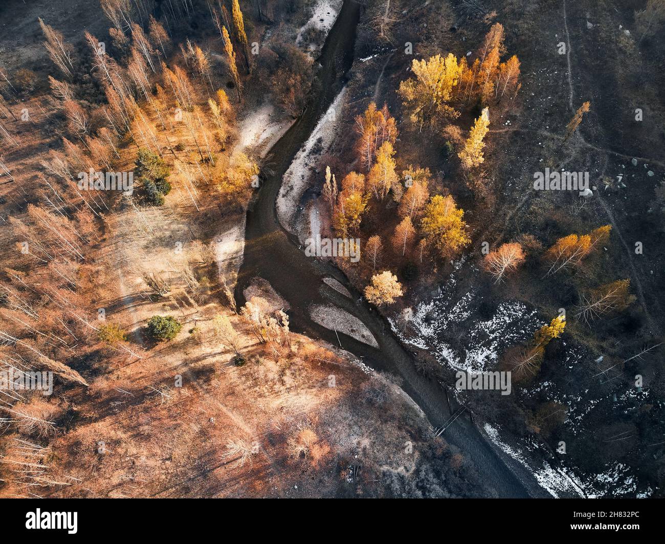 Veduta aerea dall'alto del fiume di montagna nella foresta gialla d'autunno. Foto scattata con il drone Foto Stock