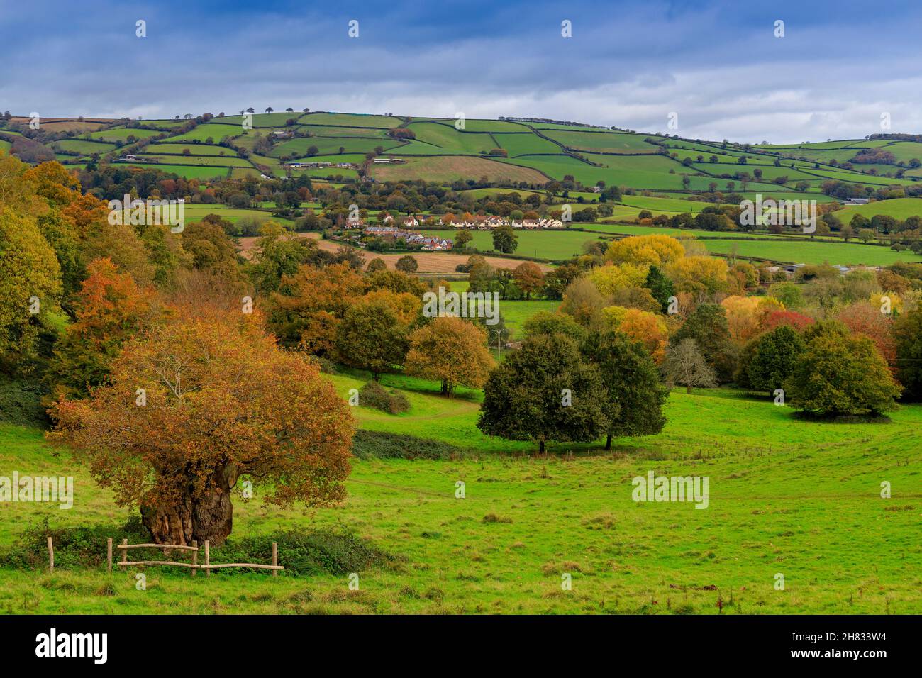 Colori autunnali vivaci nella Valle di Culm e nel villaggio di Ellerhayes, vista dai terreni della Killerton House Estate, nr Exeter, Devon, Inghilterra, Regno Unito Foto Stock