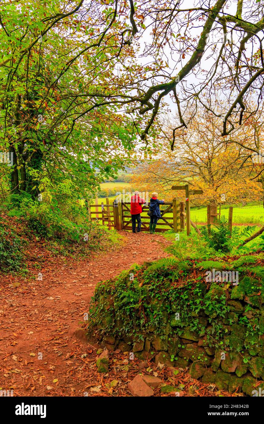 La vista sul cancello del colore autunnale vibrante di alberi e arbusti nel terreno del Killerton House Estate, nr Exeter, Devon, Inghilterra, Regno Unito Foto Stock