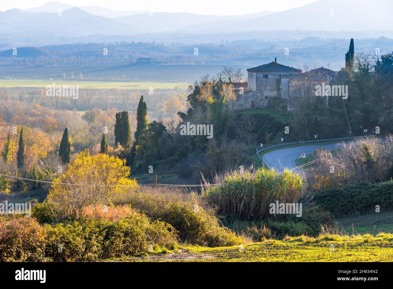 Bella vista sulle colline di campagna in autunno vicino a Frosini, provincia di Siena, Italia Foto Stock