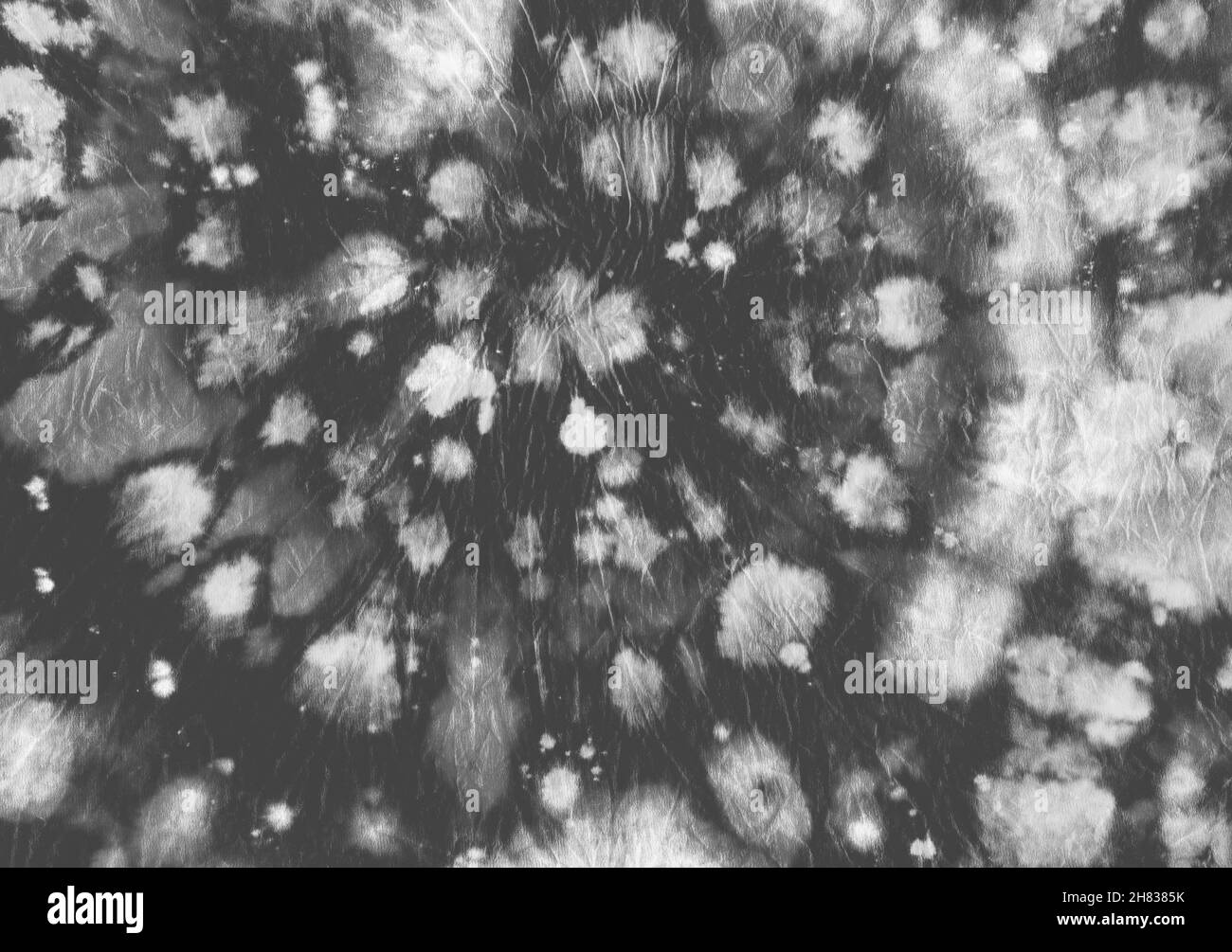 Tessuto tie-dye. Stampa batik bianco. Pittura psichedelica astratta. Tye Dye Spiral background. Abito artistico leggero. Trama circolare dell'acqua. Amore hippie P Foto Stock