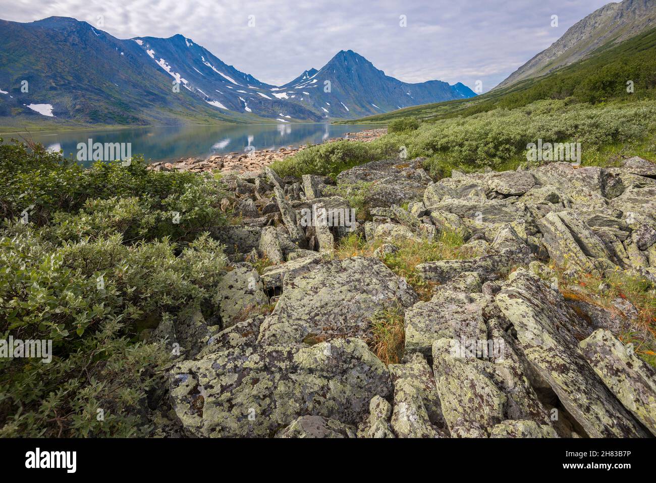 Nuvoloso Agosto mattina sulla riva del lago Bolshoye Khadatayoganlor. Ural polare, Russia Foto Stock