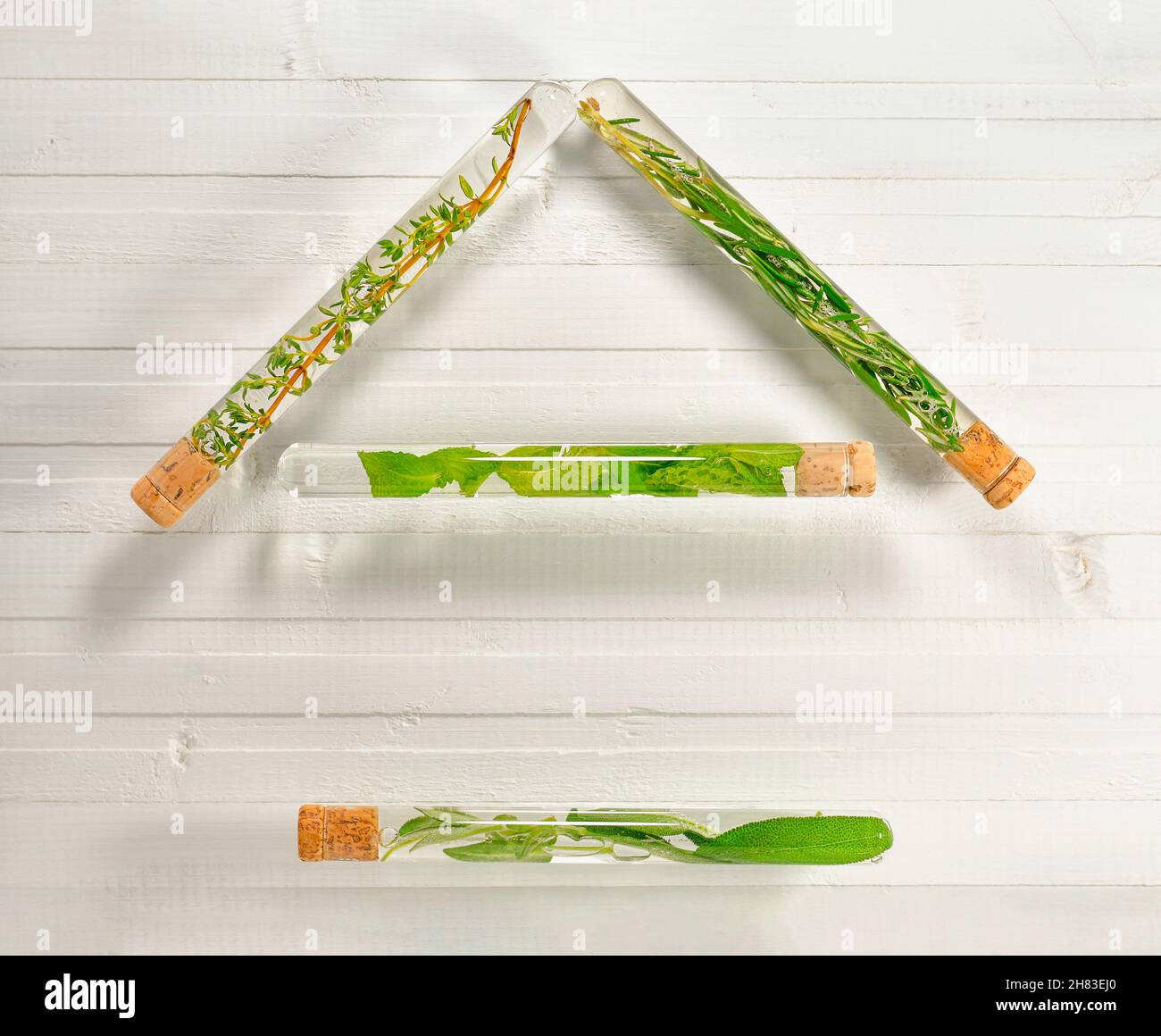 Casa con tetto costruito di provette con germogli di piante verdi. Foto Stock