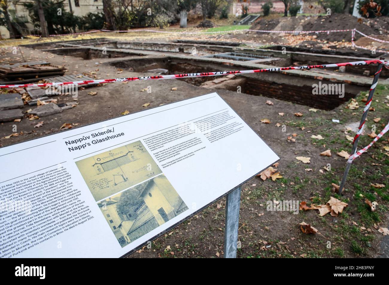 Brno, Repubblica Ceca. 26 novembre 2021. Le basi di Glasshouse della Napp, dove Gregor Mendel, scienziato e abate dell'Abbazia di St Thomas, ha condotto una serie di esperimenti da 1856 a 1863 piante di piselli in crescita nel suo laboratorio all'aperto, Che portano alla sua scoperta rivoluzionaria di caratteristiche ereditarie, sono stati scoperti durante gli scavi nell'Abbazia di San Tommaso a Brno, Repubblica Ceca, 16 novembre 2021. Credit: Monika Hlavacova/CTK Photo/Alamy Live News Foto Stock