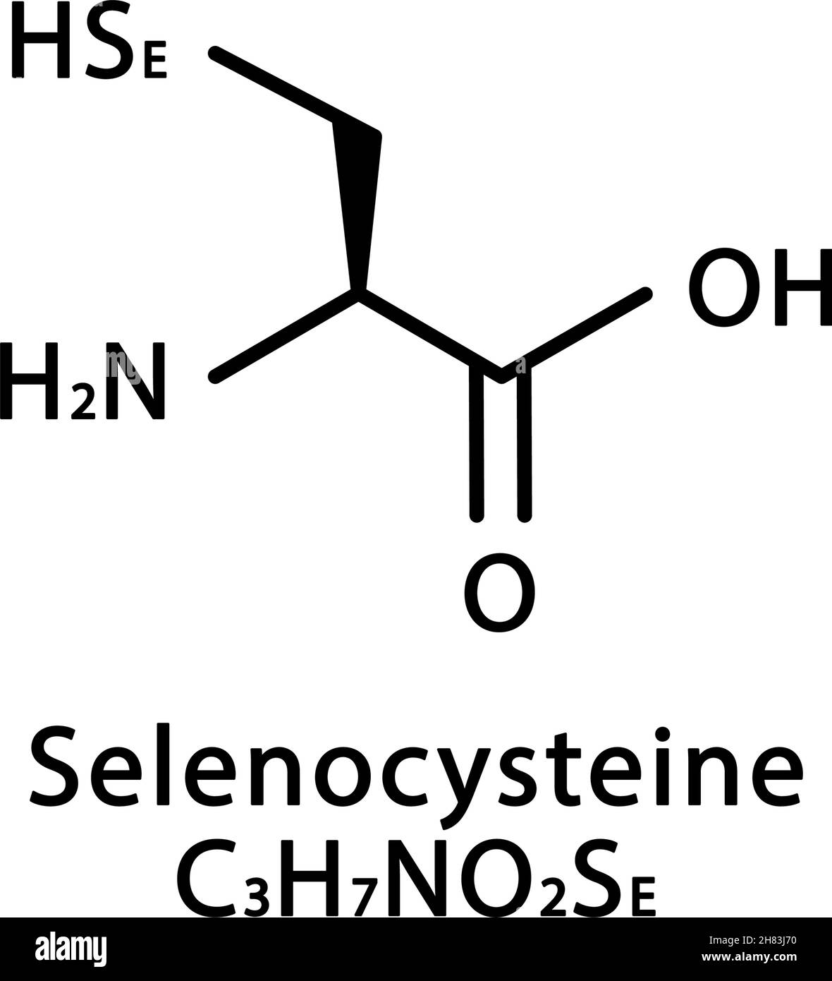 Struttura molecolare della selenocisteina. Selenocisteina formula chimica scheletrica. Illustrazione del vettore della formula molecolare chimica Illustrazione Vettoriale
