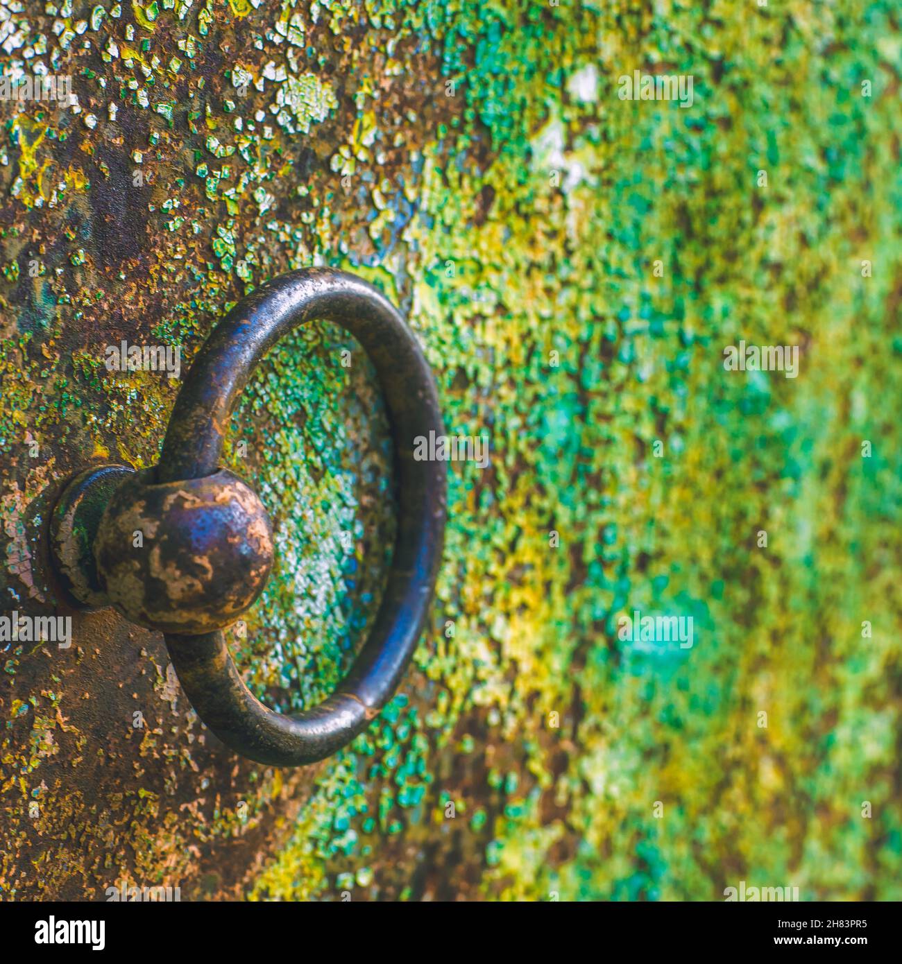 Vecchio pomello rotondo in ferro marrone sulla porta verde shabby Foto Stock