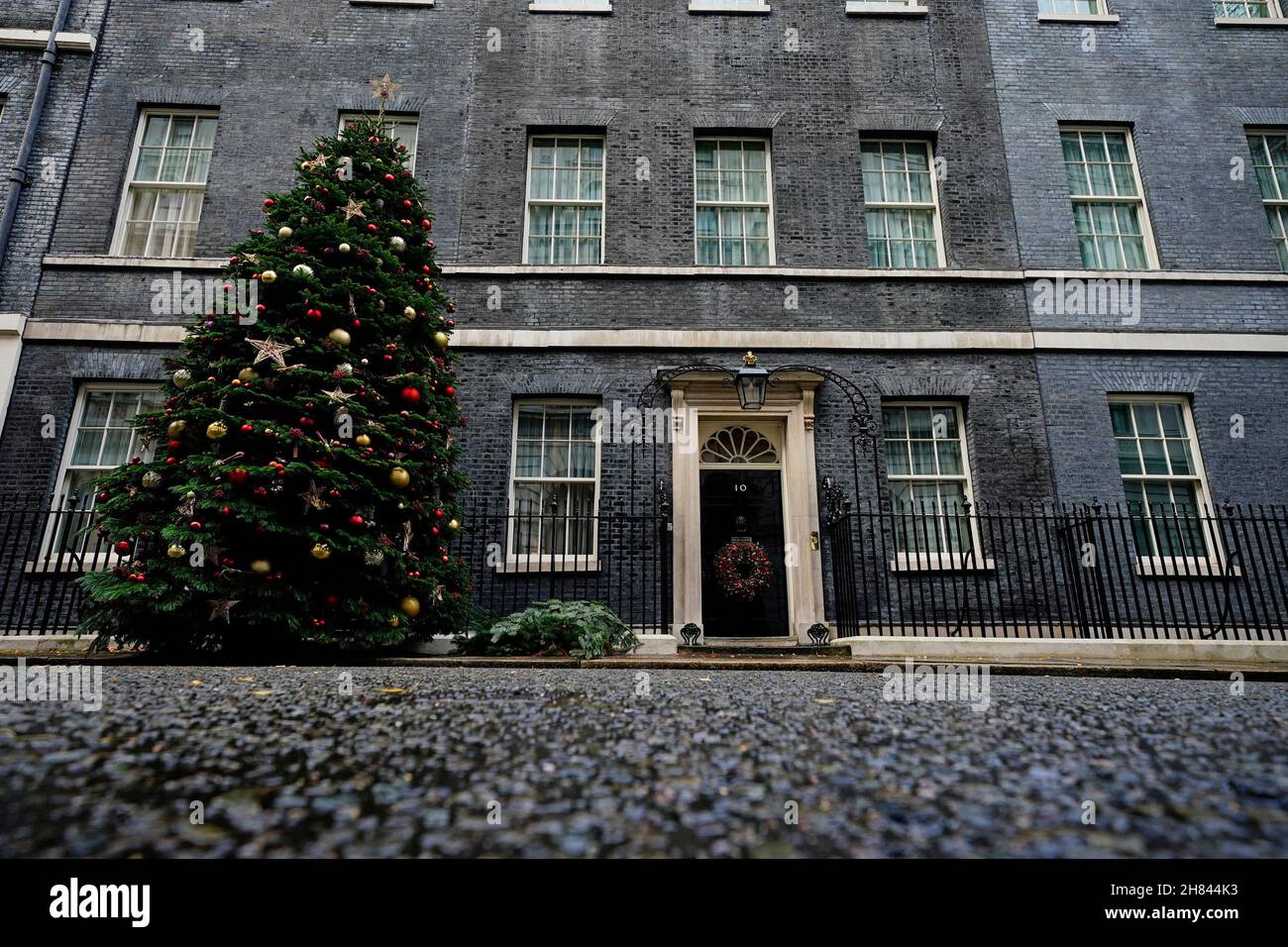 L'albero di Natale fuori 10 Downing Street, Westminster, Londra. Data foto: Sabato 27 novembre 2021. Foto Stock