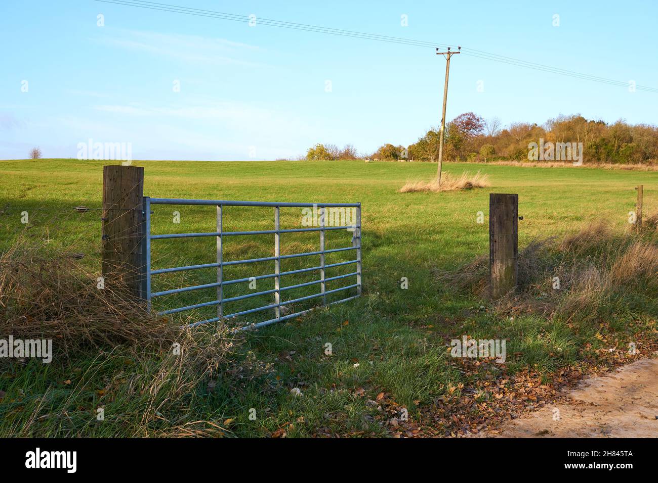 Apri il cancello di fattoria ad un campo di pascolo Foto Stock