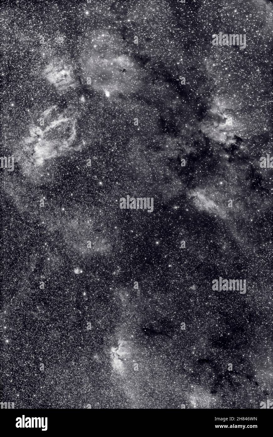 Si tratta di un ritratto a campo ampio di una serie di nebulose con nomi colorati, ma qui in bianco e nero: La bolla Nebula in alto a sinistra; la Lobster C Foto Stock