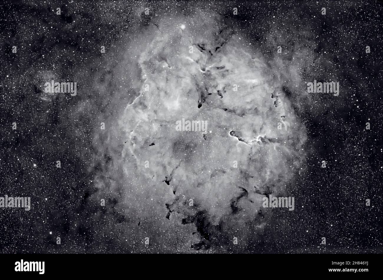 La grande nebulosa di emissione in Cefeus catalogata come IC1396 (sebbene tale numero si applichi anche al cluster STAR contenuto nella nebulosa) e che Foto Stock