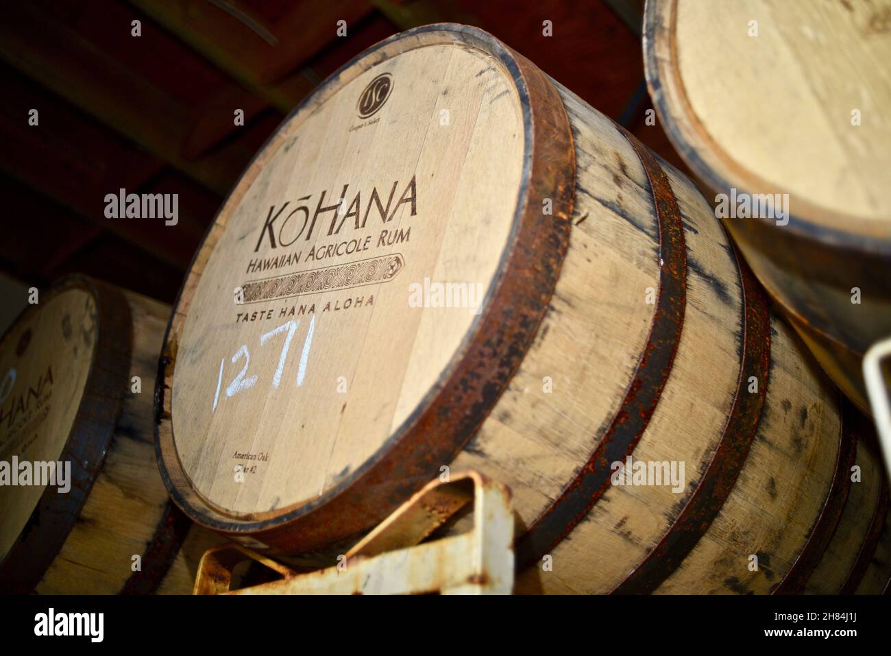 Botti di legno di quercia americana per l'invecchiamento distillato rum hawaiano di canna da zucchero, a Kō Hana Distillers, Kō Hana Hawaiian agricole Rum, Kunia, HI, US Foto Stock