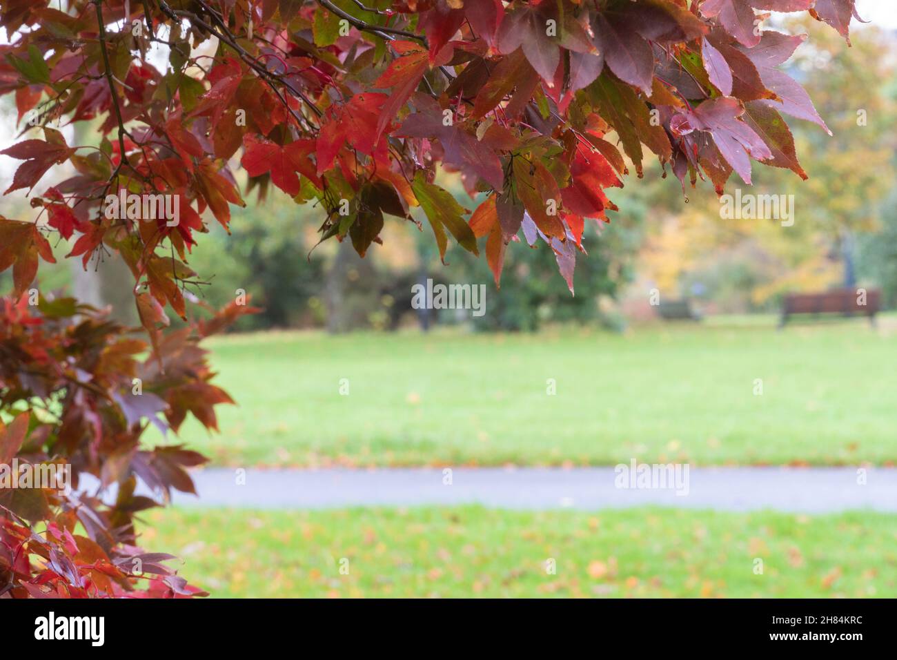 Autunno a East Park Southampton Foto Stock