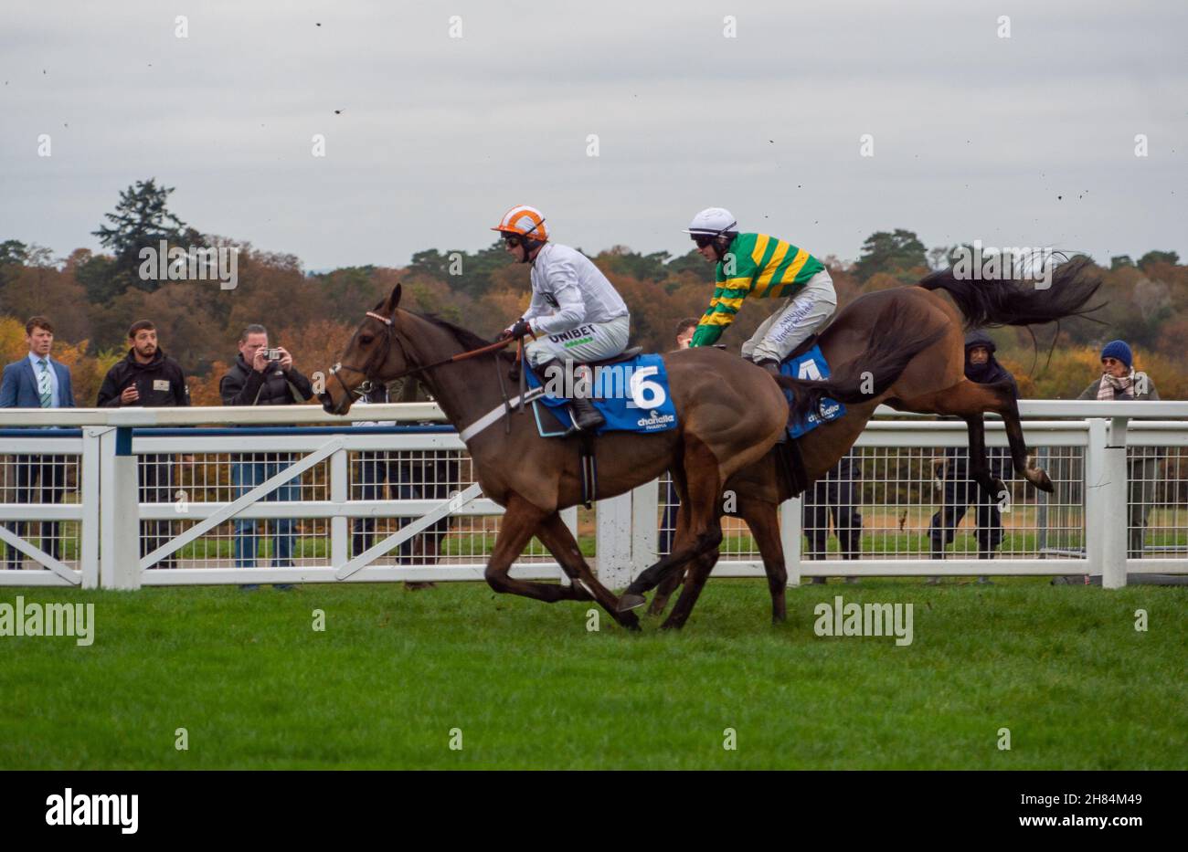 Ascot, Berkshire, Regno Unito. 20 novembre 2021. Horse LostInTranslation guidato da Brendan Powell azzera un salto sul primo circuito della Chase Steeple Chanelle Pharma 1965 (Classe 1) (grado 2) all'ippodromo di Ascot prima di andare alla vittoria della gara. Il proprietario Taylor & o'Dyer. Allenatore Colin Tizzard, Sherborne. Allevatore ARMM Kavanagh. Sponsor Coral Racing. Credit: Maureen McLean/Alamy Foto Stock