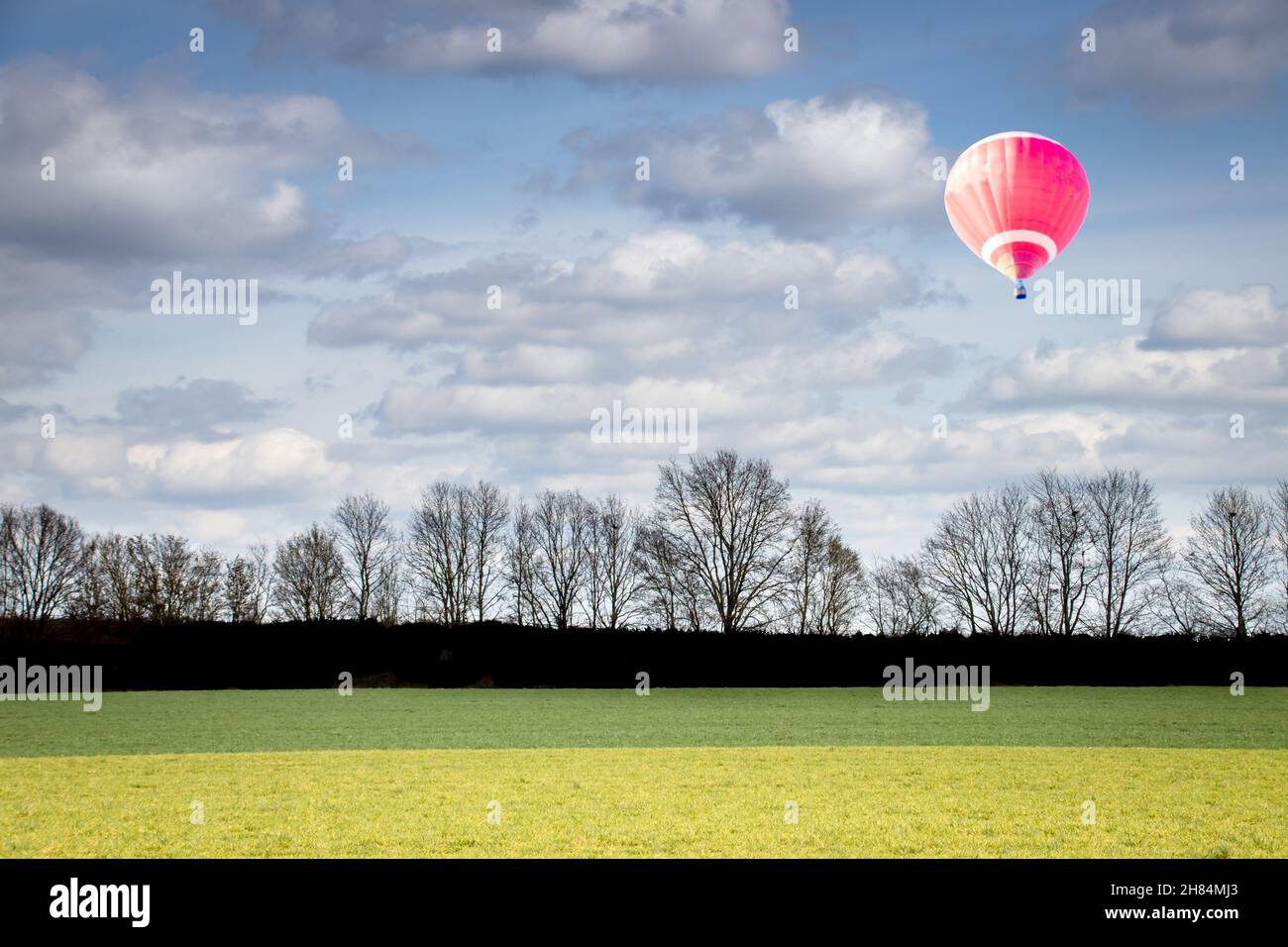 una fila di alberi che si staglia contro un cielo blu nuvoloso con un volo in mongolfiera rosso Foto Stock