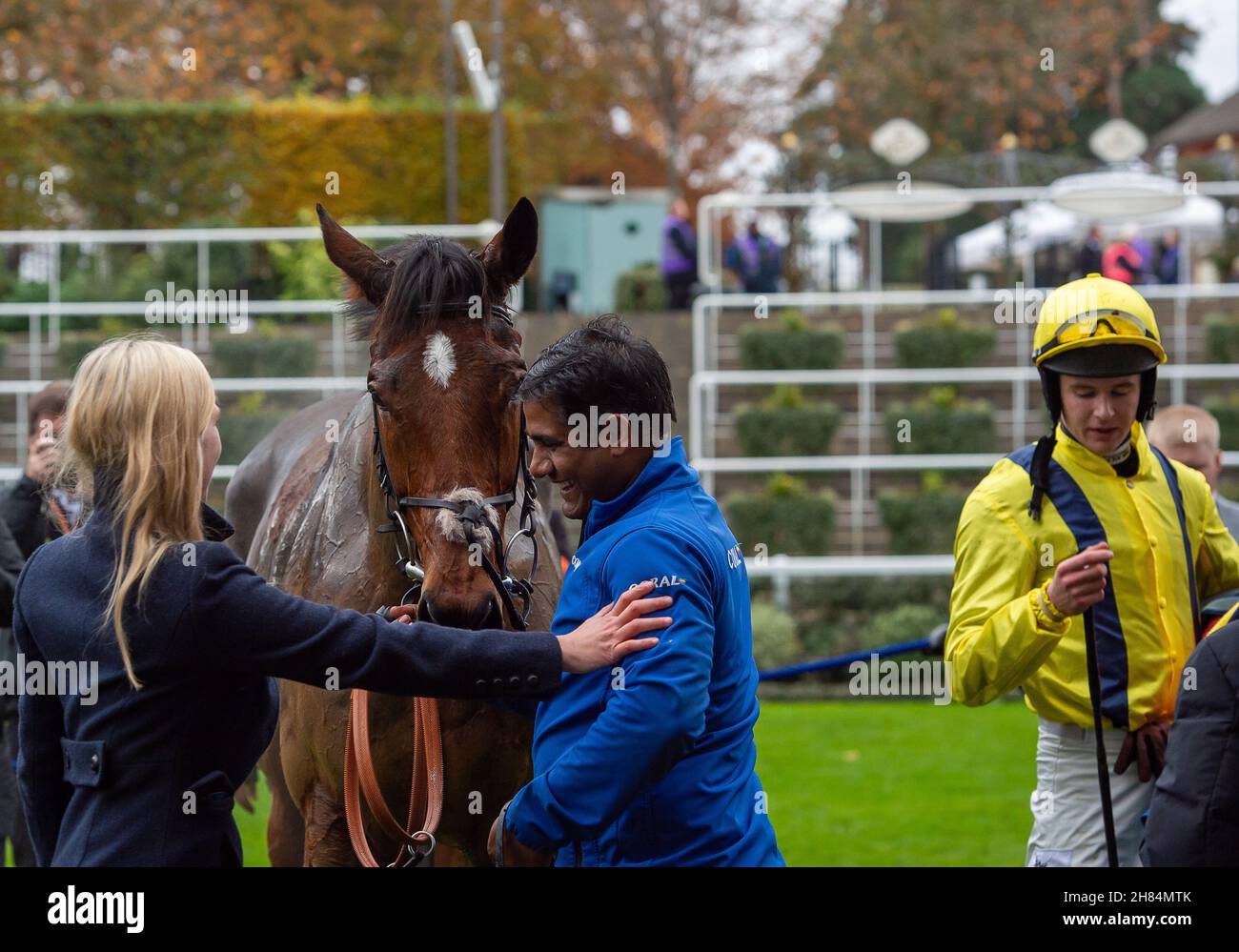 Ascot, Berkshire, Regno Unito. 20 novembre 2021. Horse LostInTranslation indetto da Brendan Powell vincitore della Chase di Steeple Chanelle Pharma 1965 (Classe 1) (grado 2) all'ippodromo di Ascot. Il proprietario Taylor & o'Dyer. Allenatore Colin Tizzard, Sherborne. Allevatore ARMM Kavanagh. Sponsor Coral Racing. Credit: Maureen McLean/Alamy Foto Stock