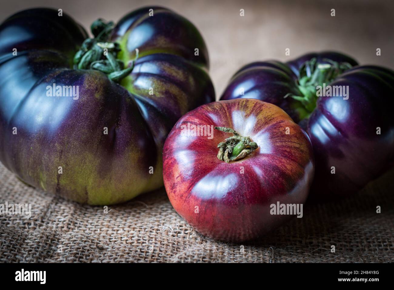 Pomodori della nuova varietà Mar Azul, rosa e bluastro quando maturi, e viola quando ancora verde, su sfondo ruvido. Foto Stock