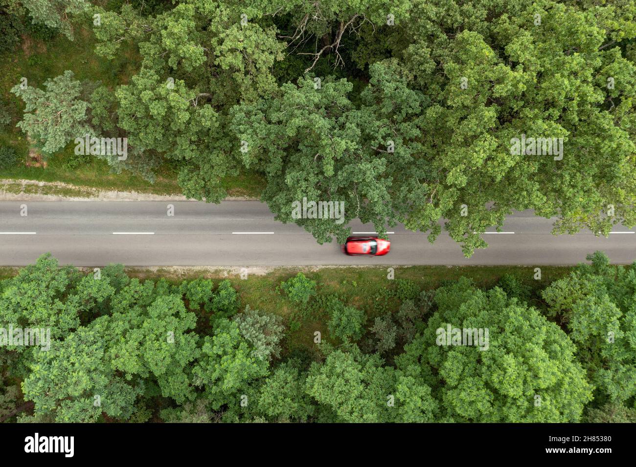 Auto rossa sulla strada forestale, movimento sfocato, vista aerea Foto Stock