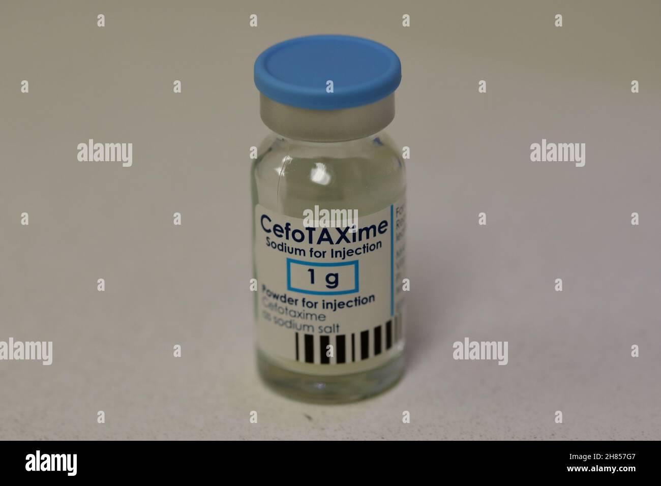 Un flacone contenente 1 g di Cefotaxima Foto Stock