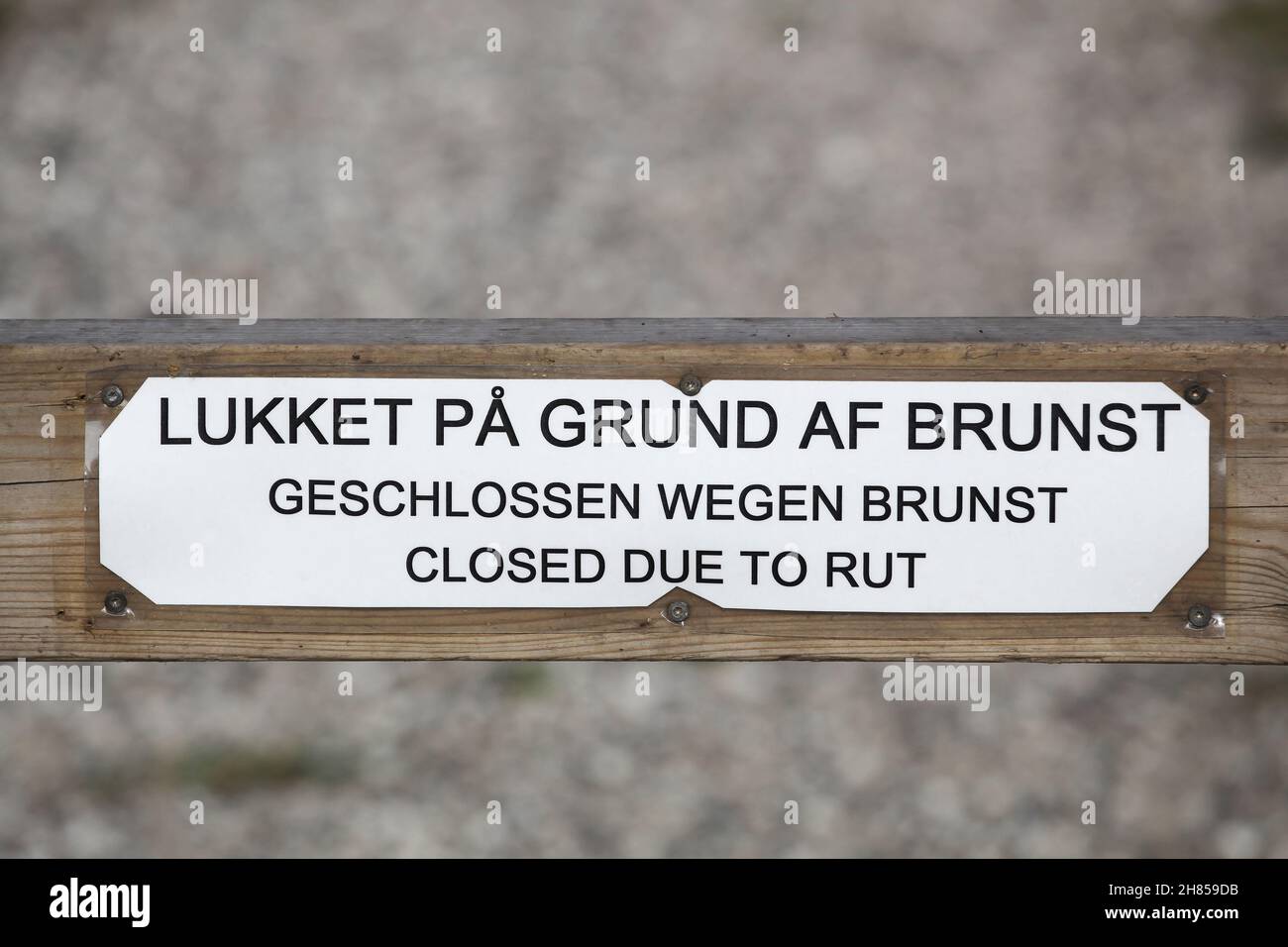 Chiusura a causa di un cartello con la scritta "rut" su una recinzione in lingua danese, tedesca e inglese Foto Stock