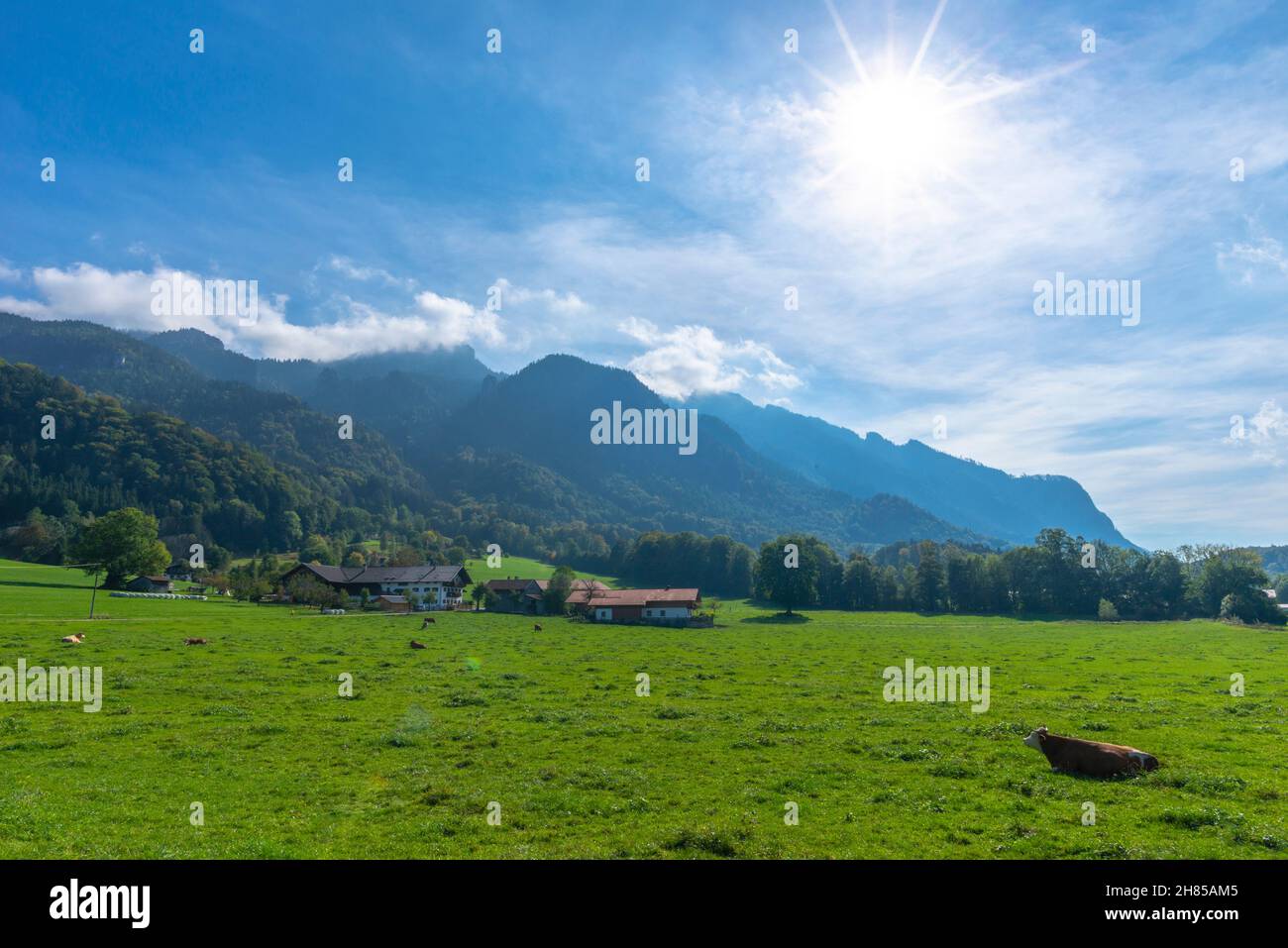 Paesaggio agricolo con pascoli e prati nell'altopiano prealpino del Chiemgau, Aschau, alta Baviera, Germania meridionale Foto Stock