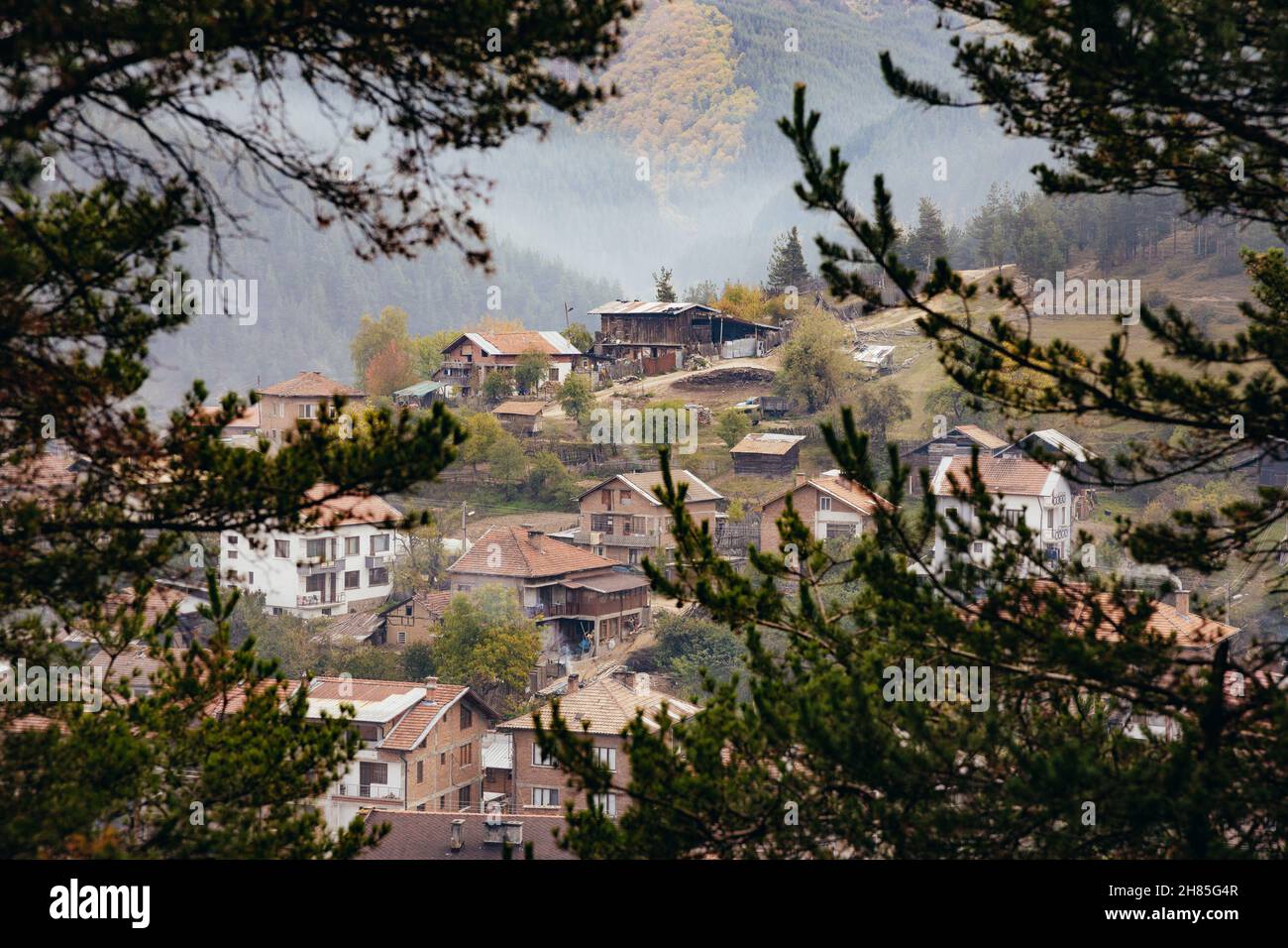 Villaggio su una collina sparato tra gli alberi. Bellissimo paesaggio europeo. Nebbia in montagna, clima autunnale. Case di mattoni. Foto di alta qualità Foto Stock