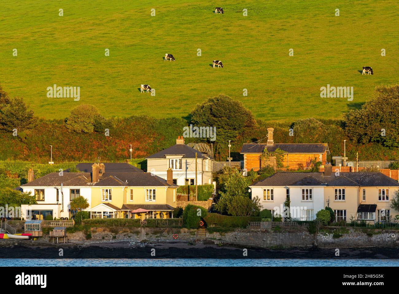 Passage East, Cork City, County Cork, Irlanda Foto Stock