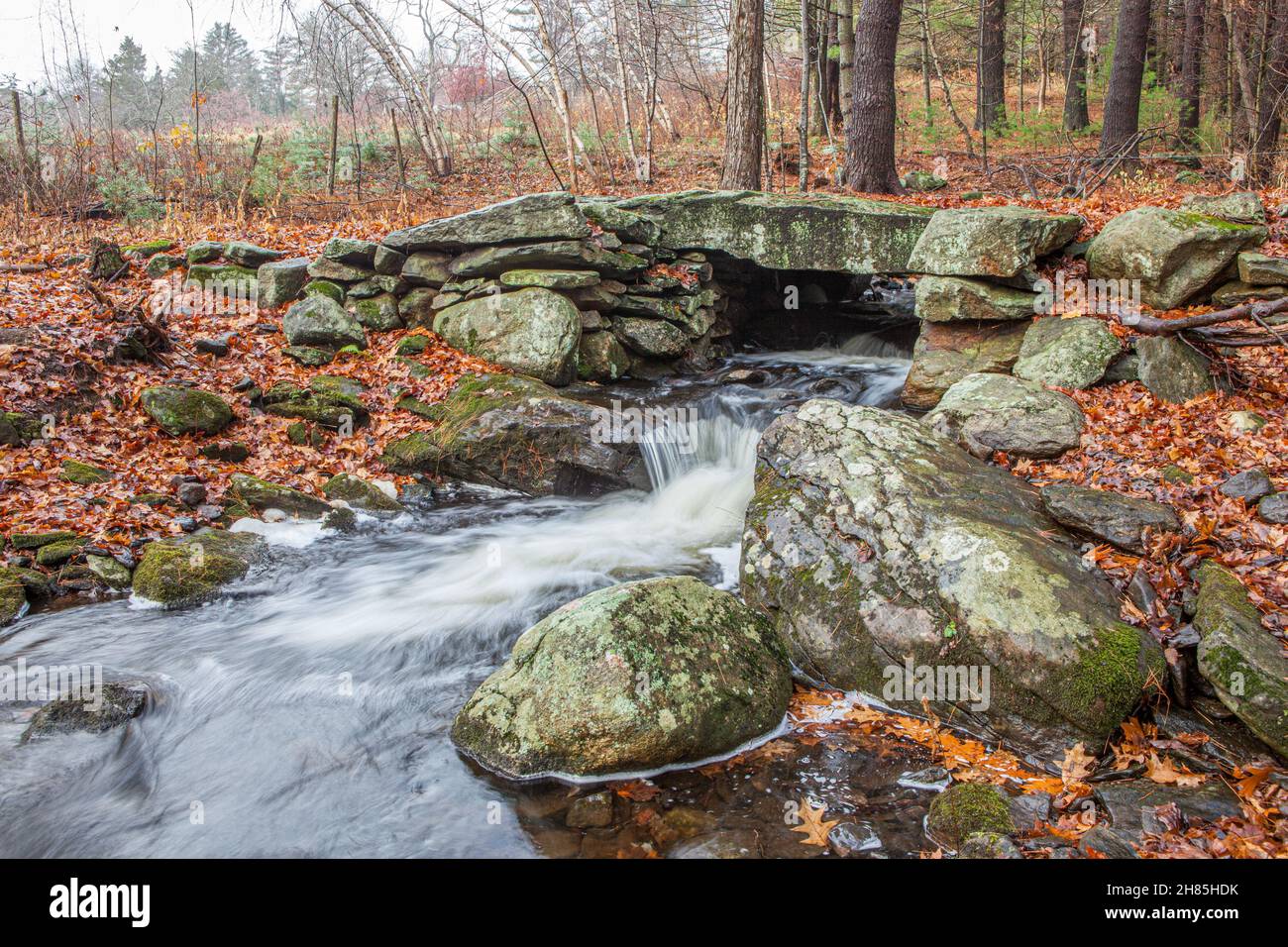 Un ruscello che attraversa la riserva naturale di Brooks Woodland a Petersham, Massachusetts Foto Stock