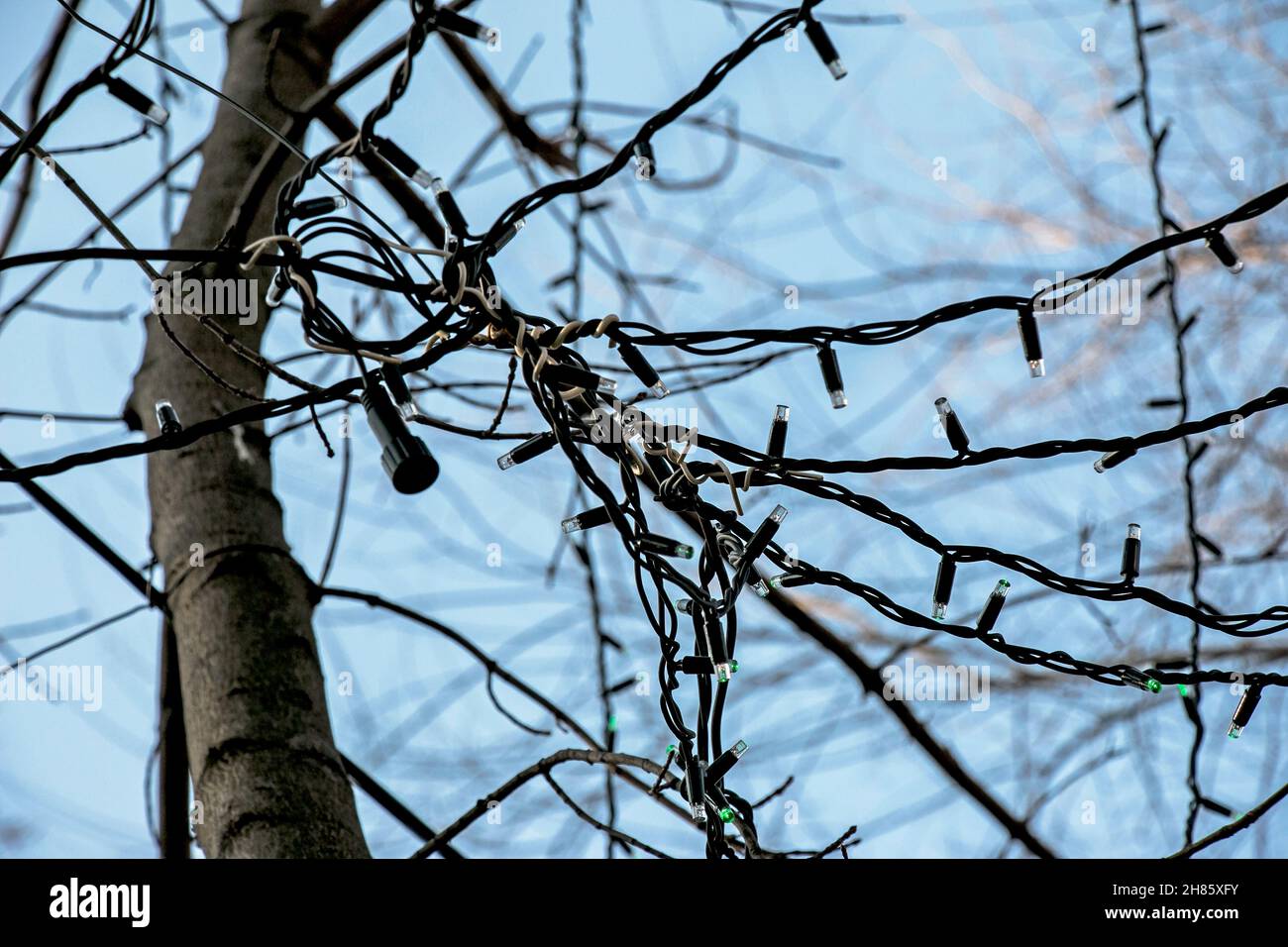 Preparazione per il nuovo anno. Ghirlande con bulbi sugli alberi delle strade della città. Foto Stock