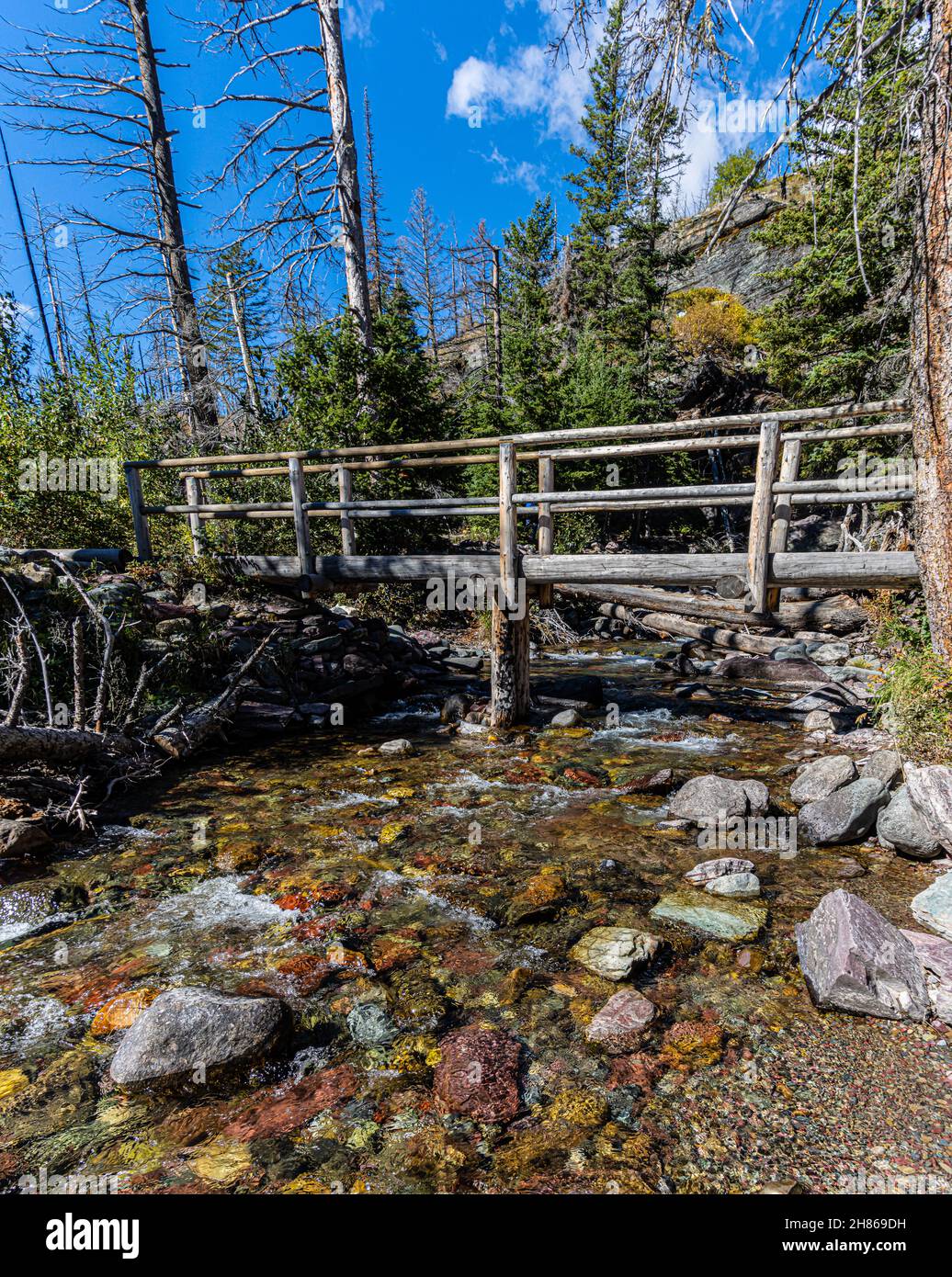 Ponte pedonale che attraversa Baring Creek sotto le cascate di Baring, Glacier National Park, Montana, USA, Foto Stock