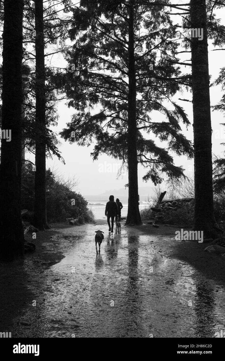 Famiglia pomeriggio spiaggia a piedi silhouette Foto Stock