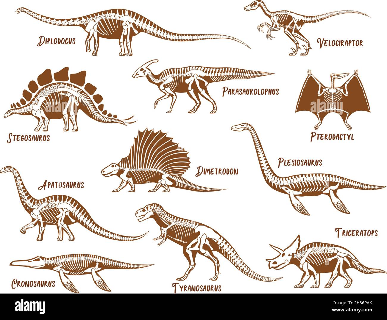 Icone decorative dei dinosauri con testo descrittivo disegnato a mano illustrazione vettoriale con stile isolato Illustrazione Vettoriale