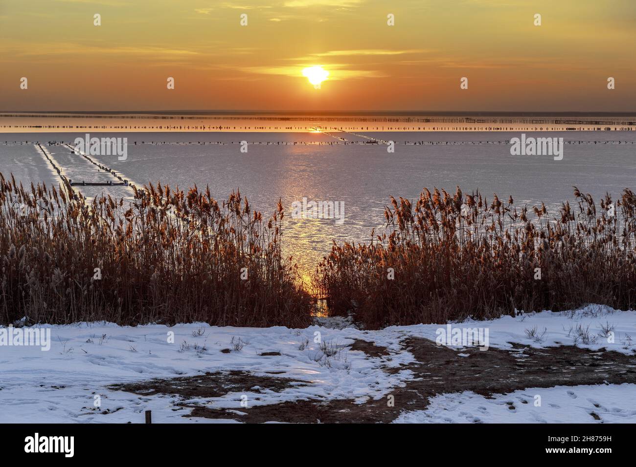 Questa è l'ora del tramonto sui laghi salati della Spit Arabat Arrow in inverno. Foto Stock