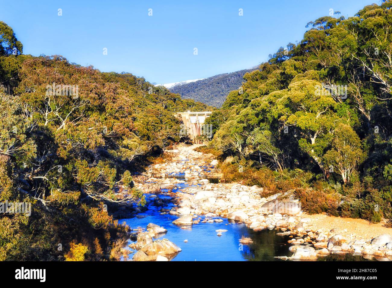 Diga Guthega sul fiume Snowy in Snowy Mountains of Australia - boschi sempreverdi di gomme da neve su pendii di rampe con cialde di neve nella stagione invernale. Foto Stock